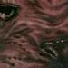 Tattoos - Custom Lion Chest Plate - 74017